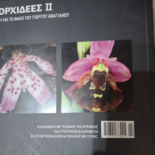 Dazzling Orchids II book, Greek wildflowers by G. Avagianou