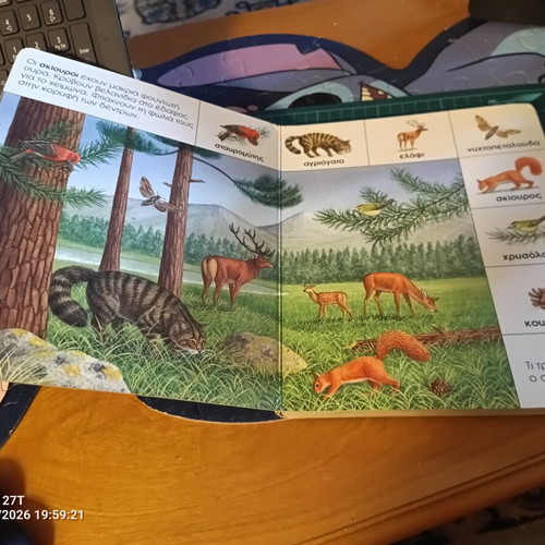 Children's book "Τα Ζώα του Δάσους" used, Greek language