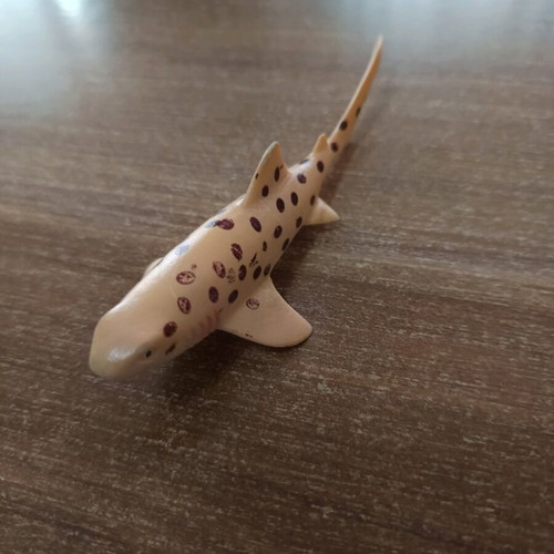 Atelimycterus marmoratus - Coral catshark figure used 11cm