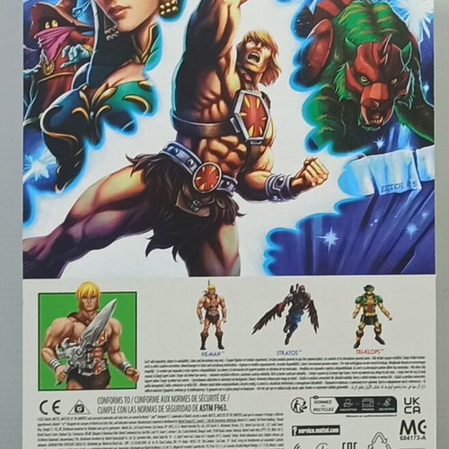 He-Man 200X Cartoon Collection action figure new, 5.5 inch