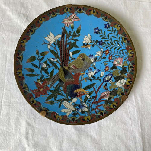 Japanese Meiji era cloisonné plate used, enamel on copper