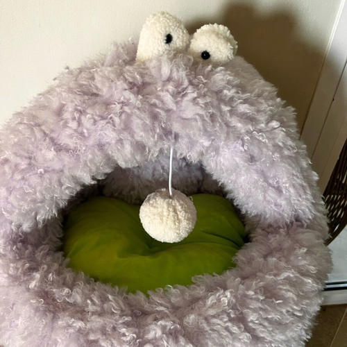 Monster cat and small dog bed like new