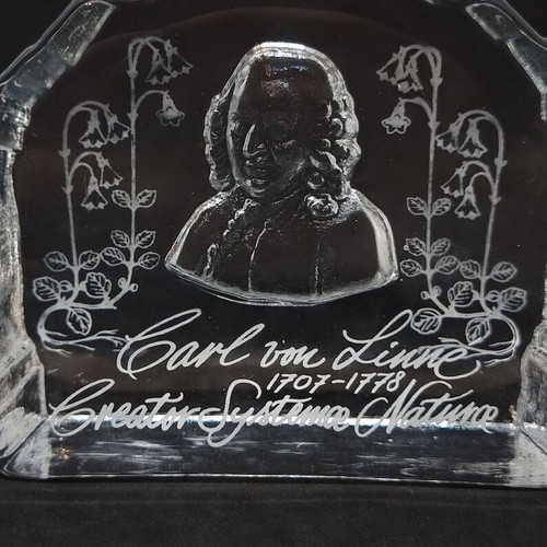 Винтидж преспапие от кристално стъкло Carl von Linné ново