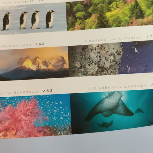 BBC Books Planet Earth used
