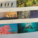 BBC Books Planet Earth used