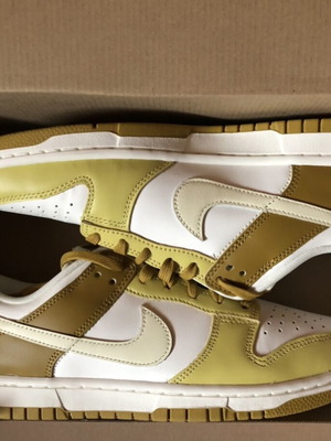 Nike Dunk Low Retro FZ4042-716 new men's sneakers size 42
