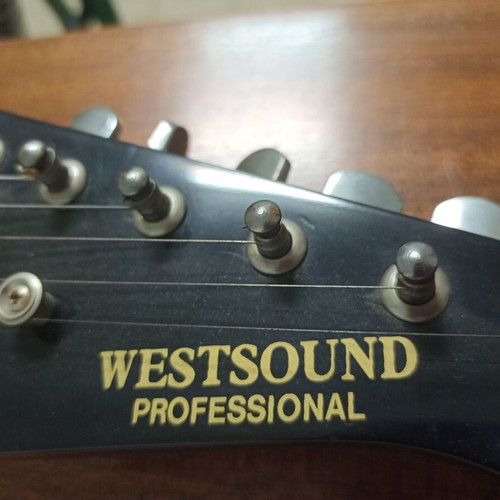 Westsound Professional electric guitar with case
