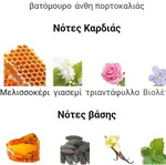 Regine's perfume normal type, new 100ml
