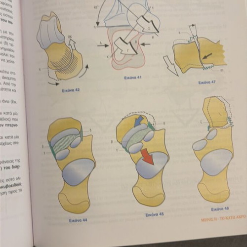 Functional Anatomy of Joints book new, Greek