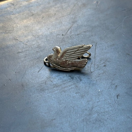 Pin the dove of peace used