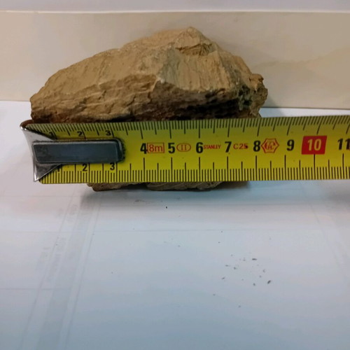 Petrified wood used, 550 grams