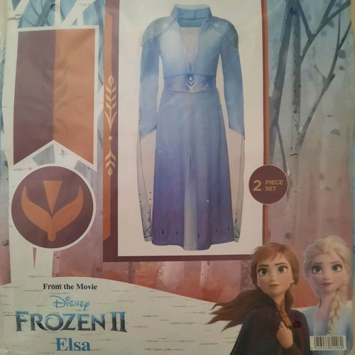 Frozen Elsa and Anna costumes no 8-10 new