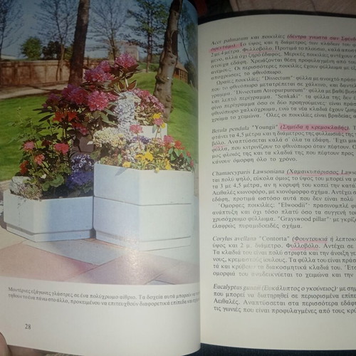 Plants for Pots and Window Boxes used book