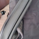 Moschino backpack used, black