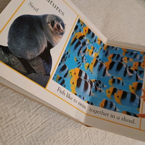 English books like new, set of 3 for children