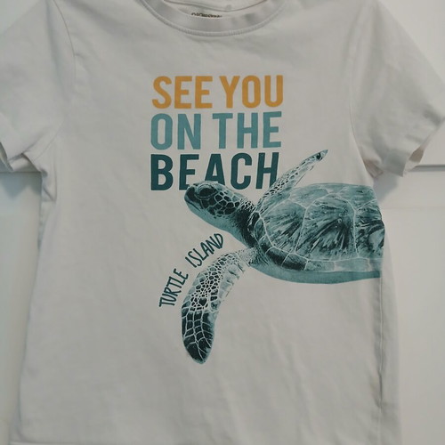Orchestra turtle print t-shirt used, size 140 cm for 10-year-old boy