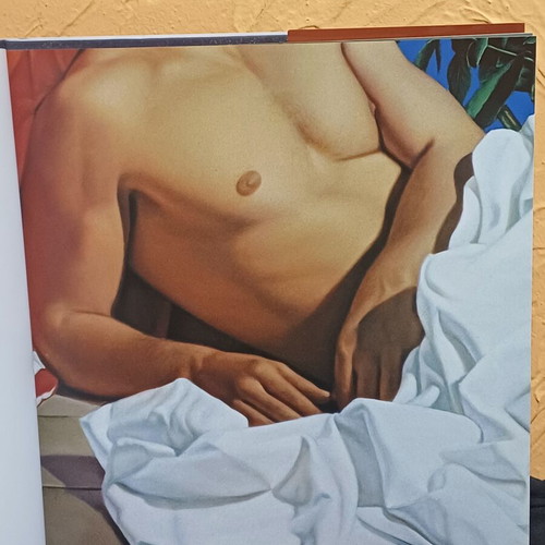 Droungas Art Book like new, bilingual edition