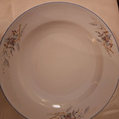 Russian porcelain dinnerware set 1890 vintage like new with hand painting