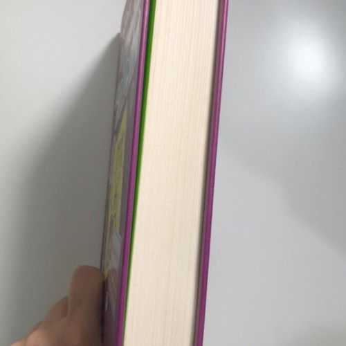 The Diary of a Wimpy Kid 2 like new