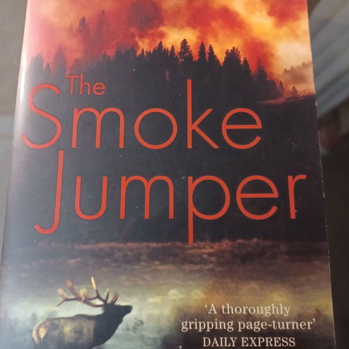 The Smoke Jumper by Nicholas Evans like new, English