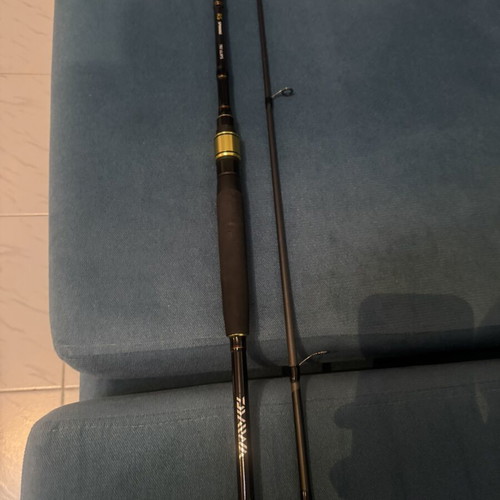 Daiwa fishing rod used, 2.25m, 2-8g