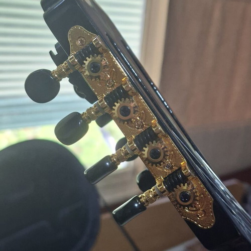 Bouzouki 8-string new with pickup and case by Stamkos