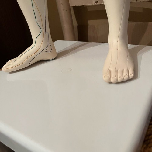 Acupuncture model like new, height 72 centimeters