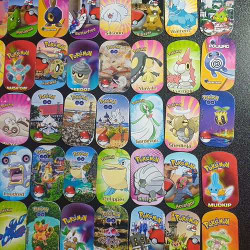 101 Metal Pokemon Tags