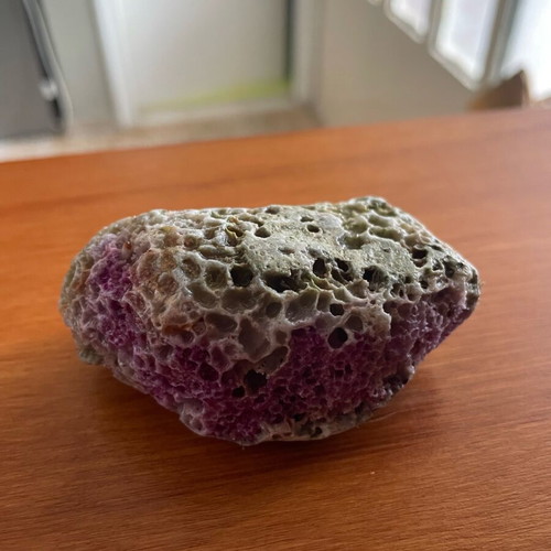 Fossilized coral in limestone new, natural stone