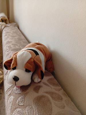 Plush dog 21 cm like new