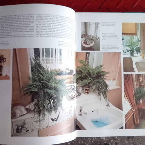 Decorative Indoor Plants Book like new