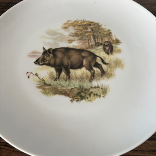 Eschenbach Bavaria vintage porcelain plates set of 2 with hunting motifs
