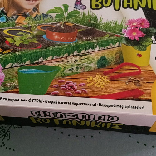 Botany Workshop Board Game New