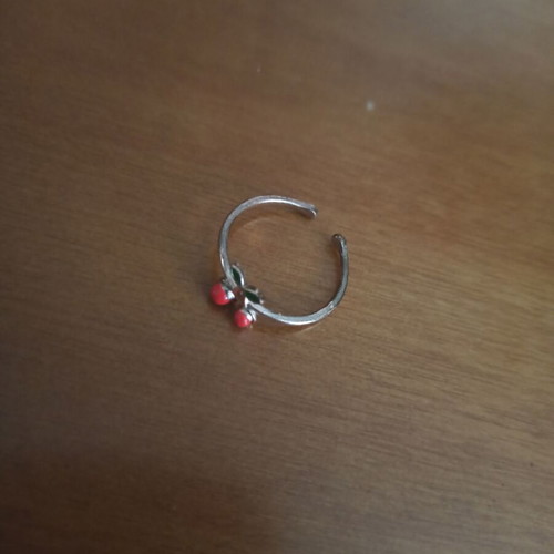 Jewelry set used with necklace and two rings with cherries and strawberry