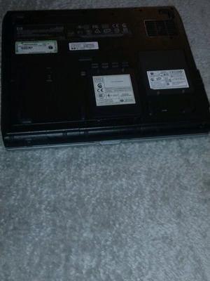 acer