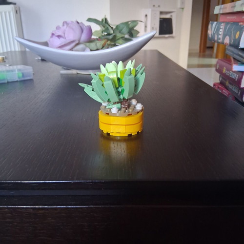 Decorative item new