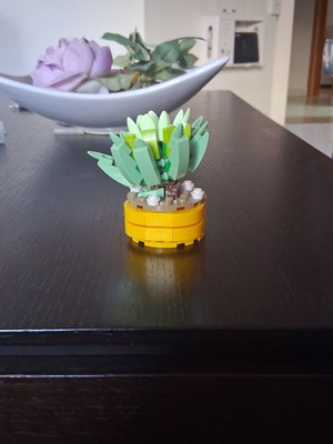 Decorative item new