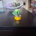 Decorative item new