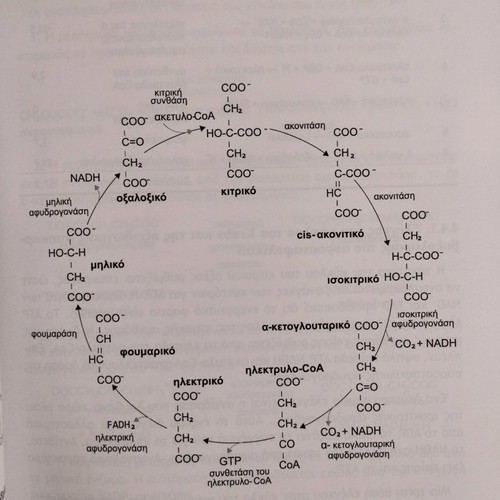 Environmental Microbiology new book