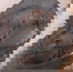  Κάλυμμα σελας