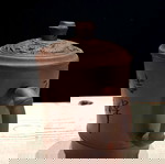 Yixing Zisha teapot new with embossed dragon decoration