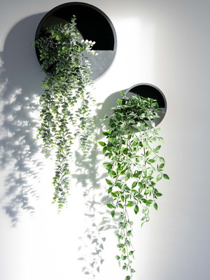 Wall Mounted Plant Pot minimal decor, κατόπιν παραγγελίας
