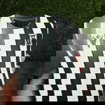  Διακοσμητική Φανέλα ΠΑΟΚ – 3D Printed Διακοσμητικό