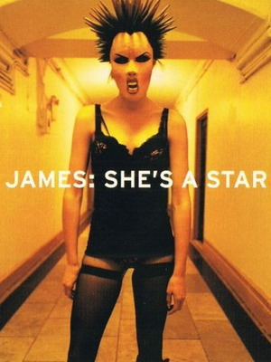James She's A Star CD single used, rock