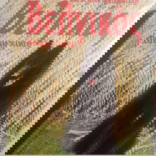 Ο Βελγικός Ποιμενικός βιβλίο μεταχειρισμένο, όλα όσα πρέπει να γνωρίζετε