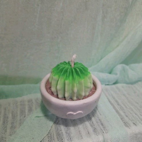 Handmade soy candle in plaster with coffee and green forest scent