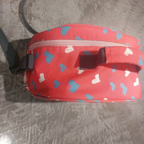 Polo lunchbox bag used for girls school, trip, picnic