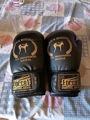 Kickboxing set like new with gloves and shin guards size L