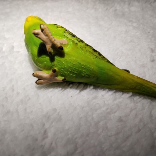 Green Budgie Schleich 14408 vintage 7 cm used