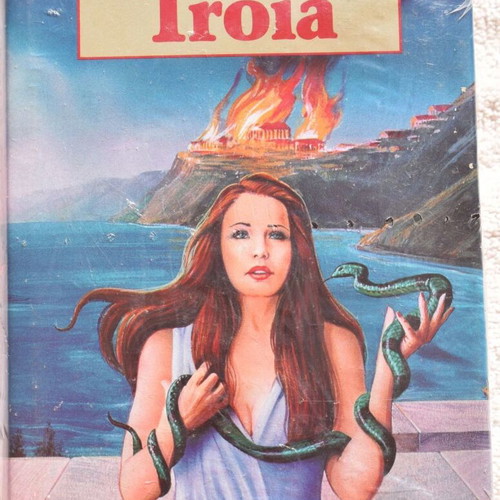 Die Feuer von Troja novel by Marion Zimmer Bradley like new, German